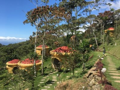 Tour Conocé Los Canastos